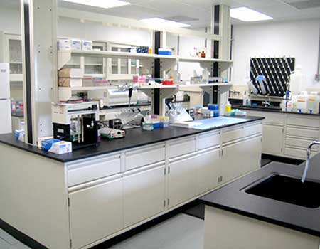 Asmg Lab Microbial Genomics