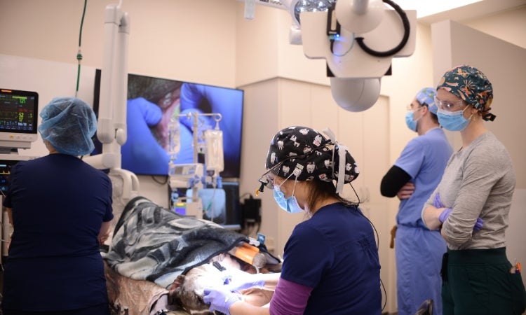 A person in scrubs works on a patient.