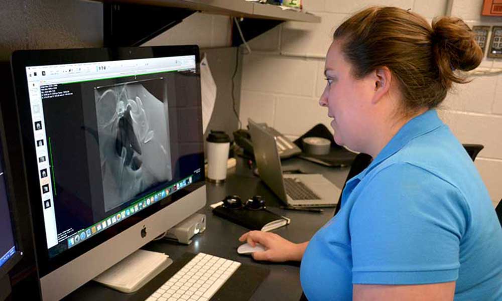 researcher viewing x-ray