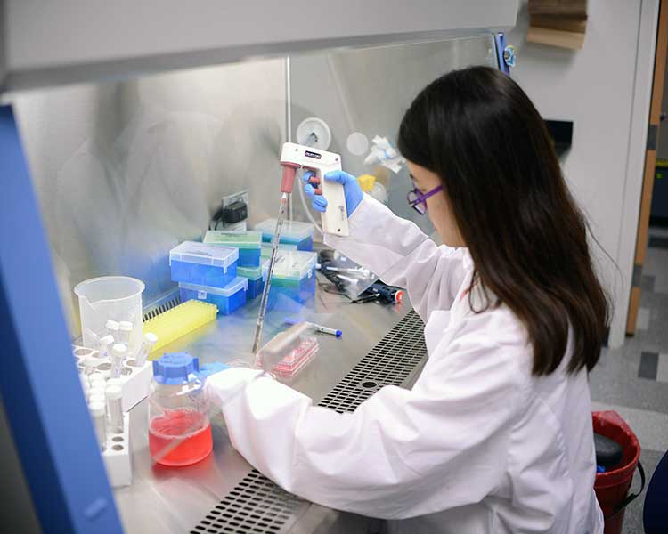 Student performing research in lab