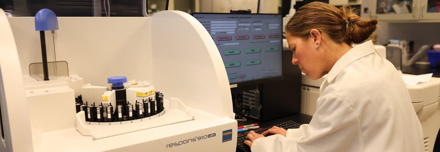 A person at computer doing lab work.