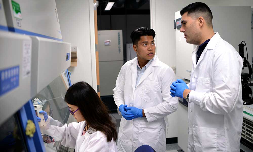 Blanco lab