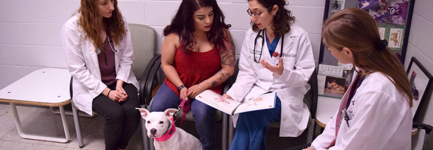 Primary Care Service members talk with patient owner