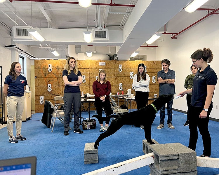 Working Dog Practitioner Program