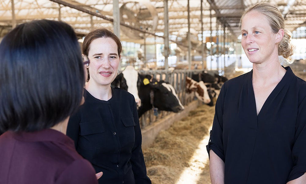 Center for Stewardship Agriculture and Food Security members