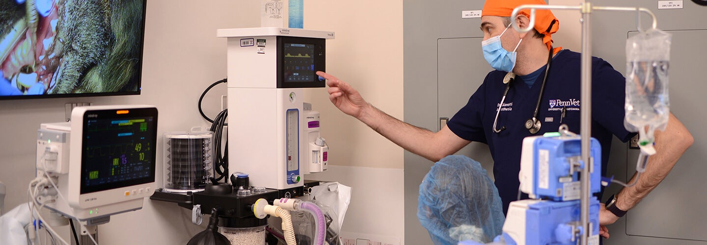 People in a hospital room working anesthesia equiptment