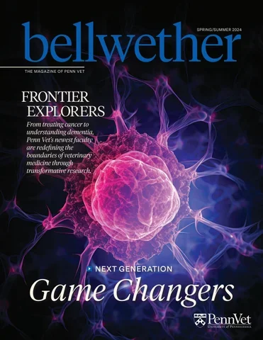 Bellwether 101