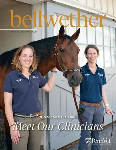 Bellwether 102
