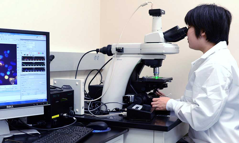 researcher using microscope