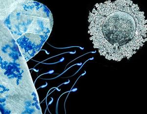 t-cell