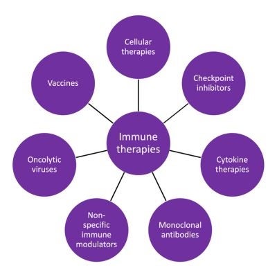 Comparative Immunotherapy Program's immunity therapy diagram