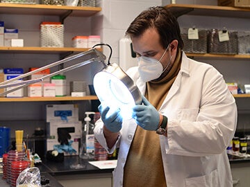 Dr. Stephen Cole working in lab