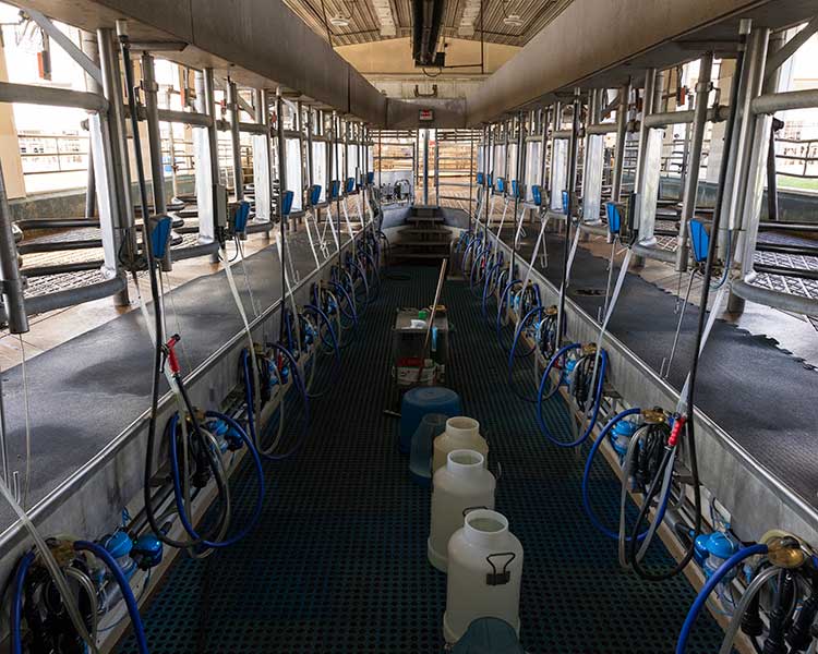 Dairy Equipment