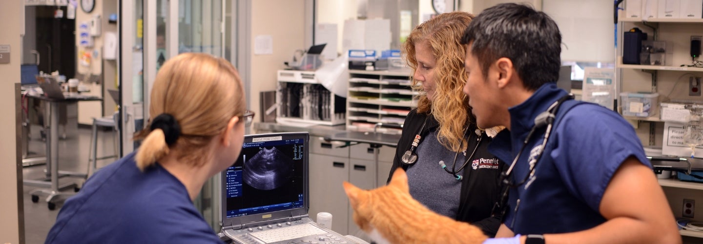 a group of people standing around a cat in an exam room
