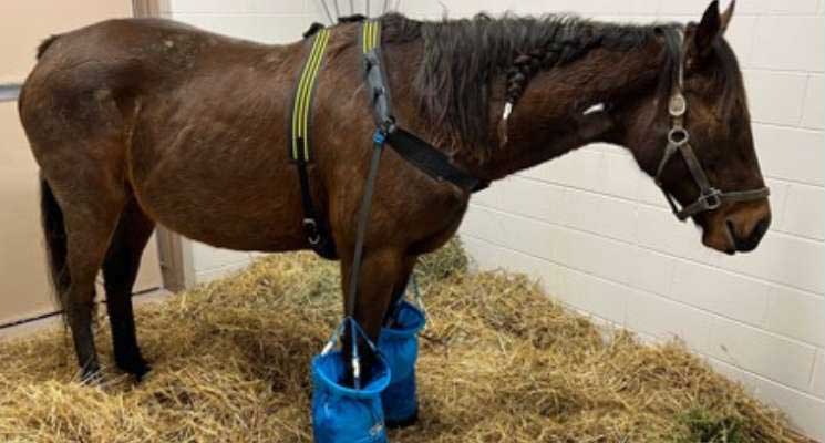 foot cooling for Srl prevention