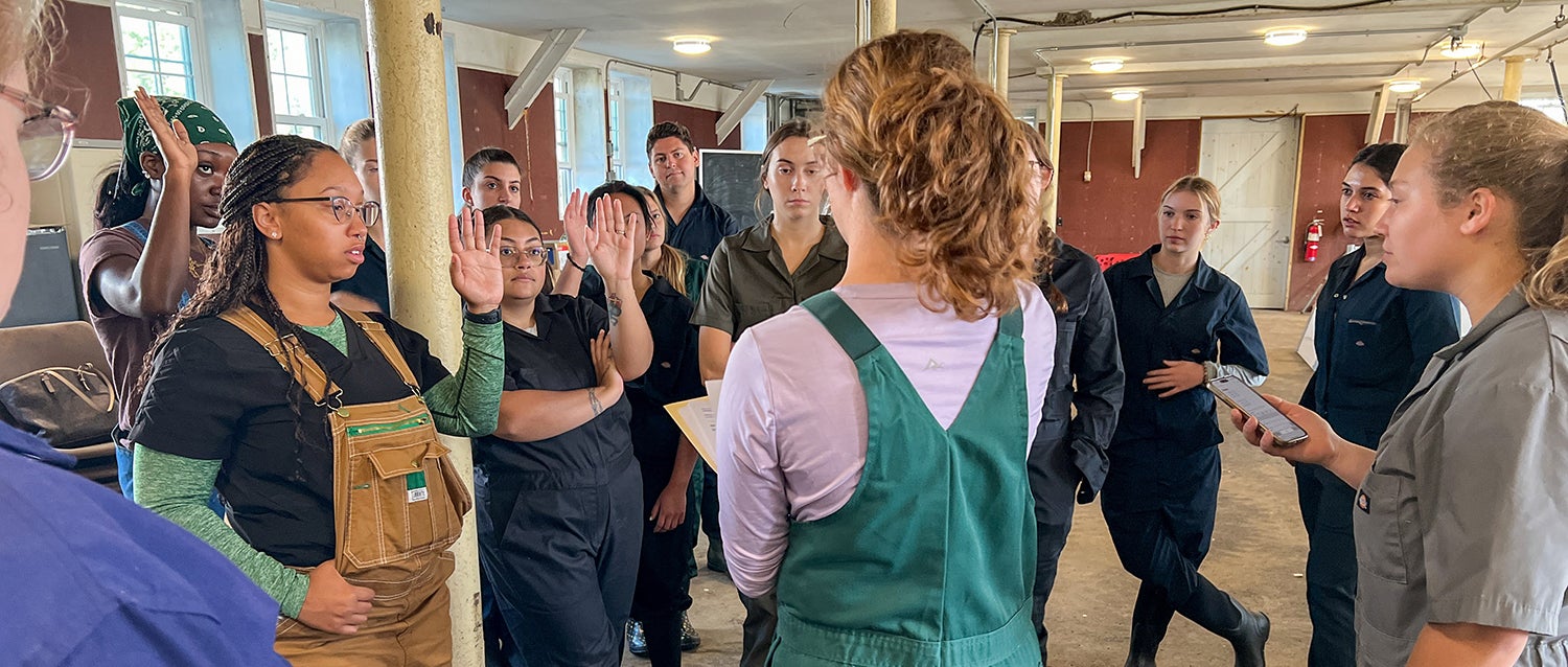 Dr. Tara Gaab speaks with University of Delaware students as sows were loaded into their new crates. A woman in green overalls with people raising their hands in front of her.