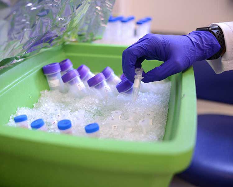 Hand with vials in lab