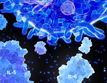 virus image from the Institute for Infectious & Zoonotic Diseases