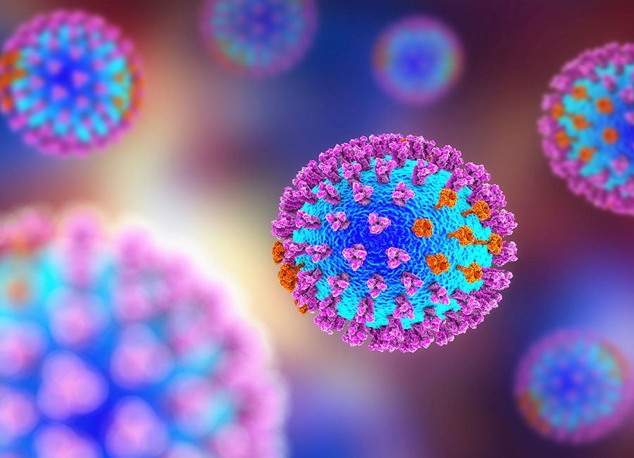 influenza virus