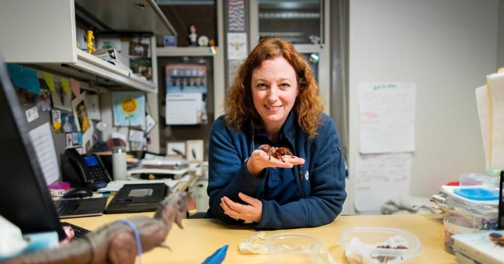 A woman with Red hair holding a tarantula.