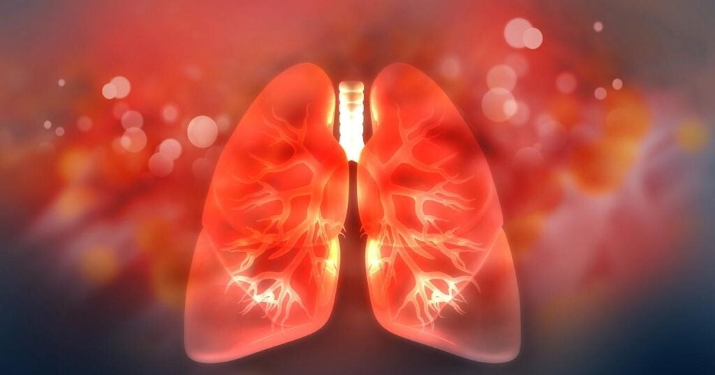 Human Lungs