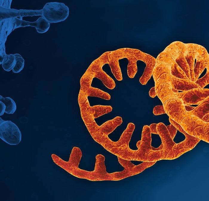 an image of a dna molecule and a virus