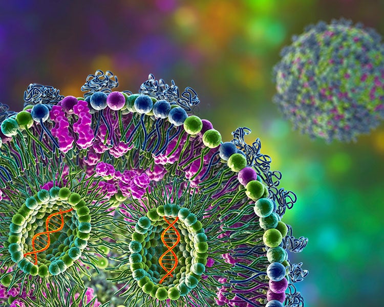 MRNA Cell Closeup