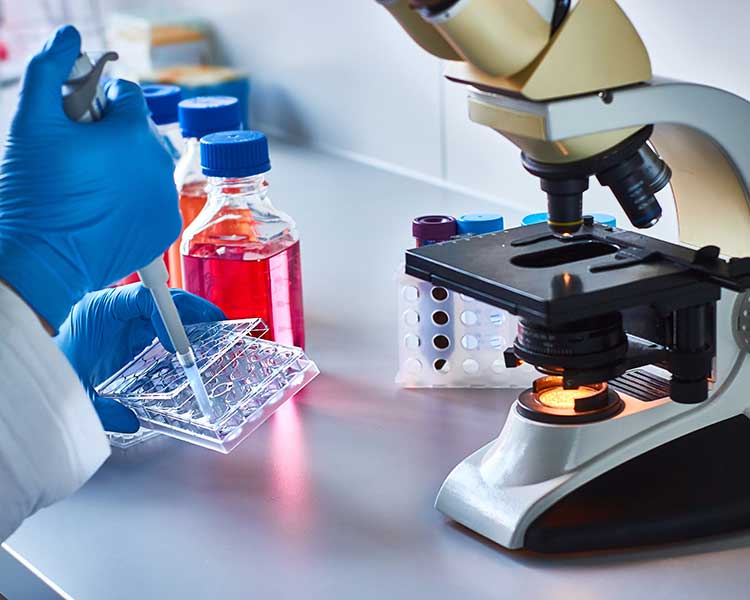 researcher with microscope