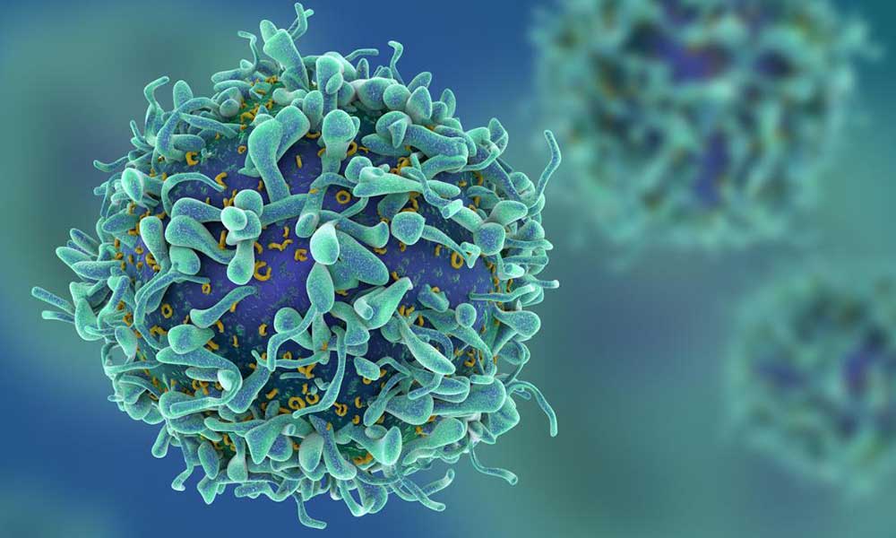rendering of T-cells