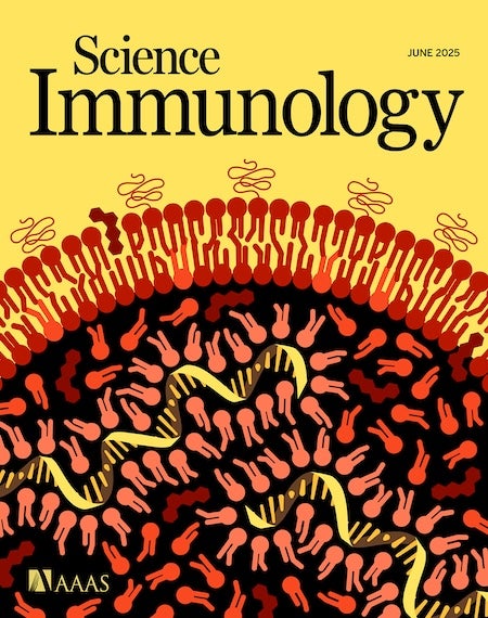 Science Immunology cover image features a stylized mRNA-LNP with various lipid (red, coral, and pink) and cholesterol molecules (maroon) encapsulating Il12 mRNA (yellow).