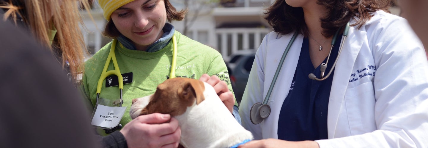 A person is petting a dog outside.
