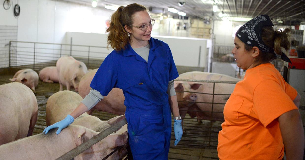 Tara Gaab petting a pig while talking to someone else.