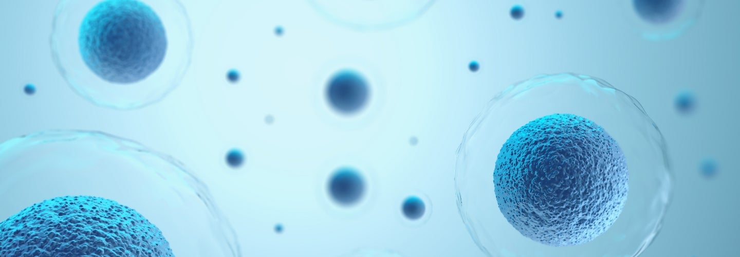 Typical bacterium researched at the Comparative Immunotherapy Program