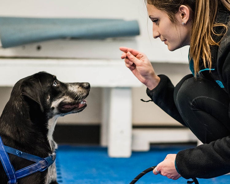 woman and her dog in community class