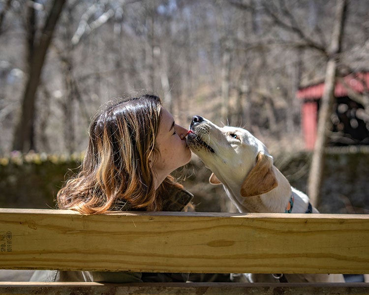 Woman with dog on public bench