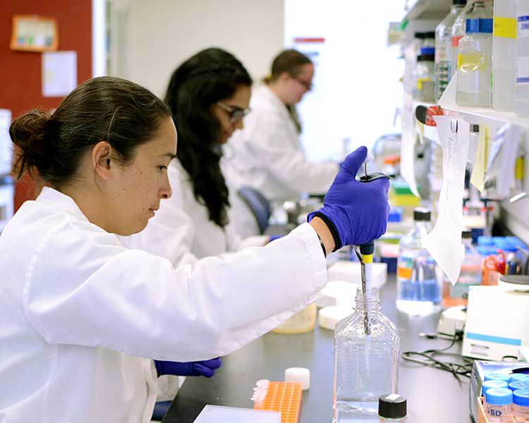 Working In Lab