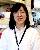 Yuhua Tian