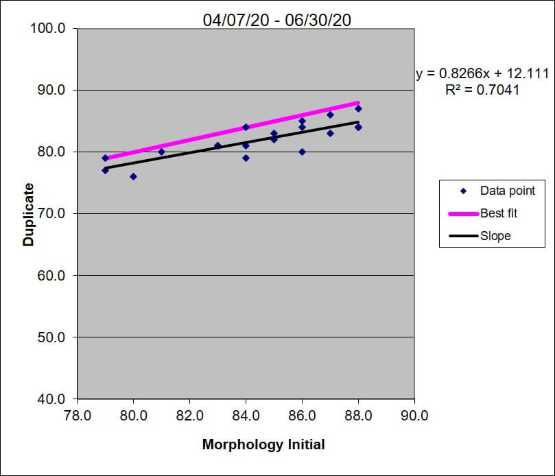 2020 q2 Morph