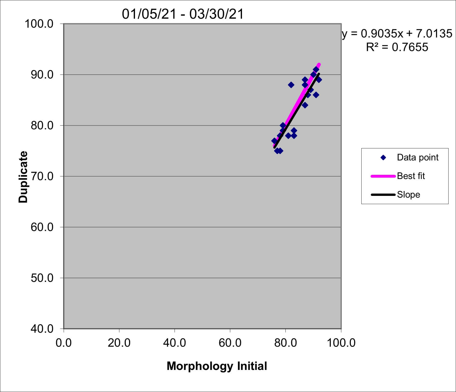 2021 q1 Morph