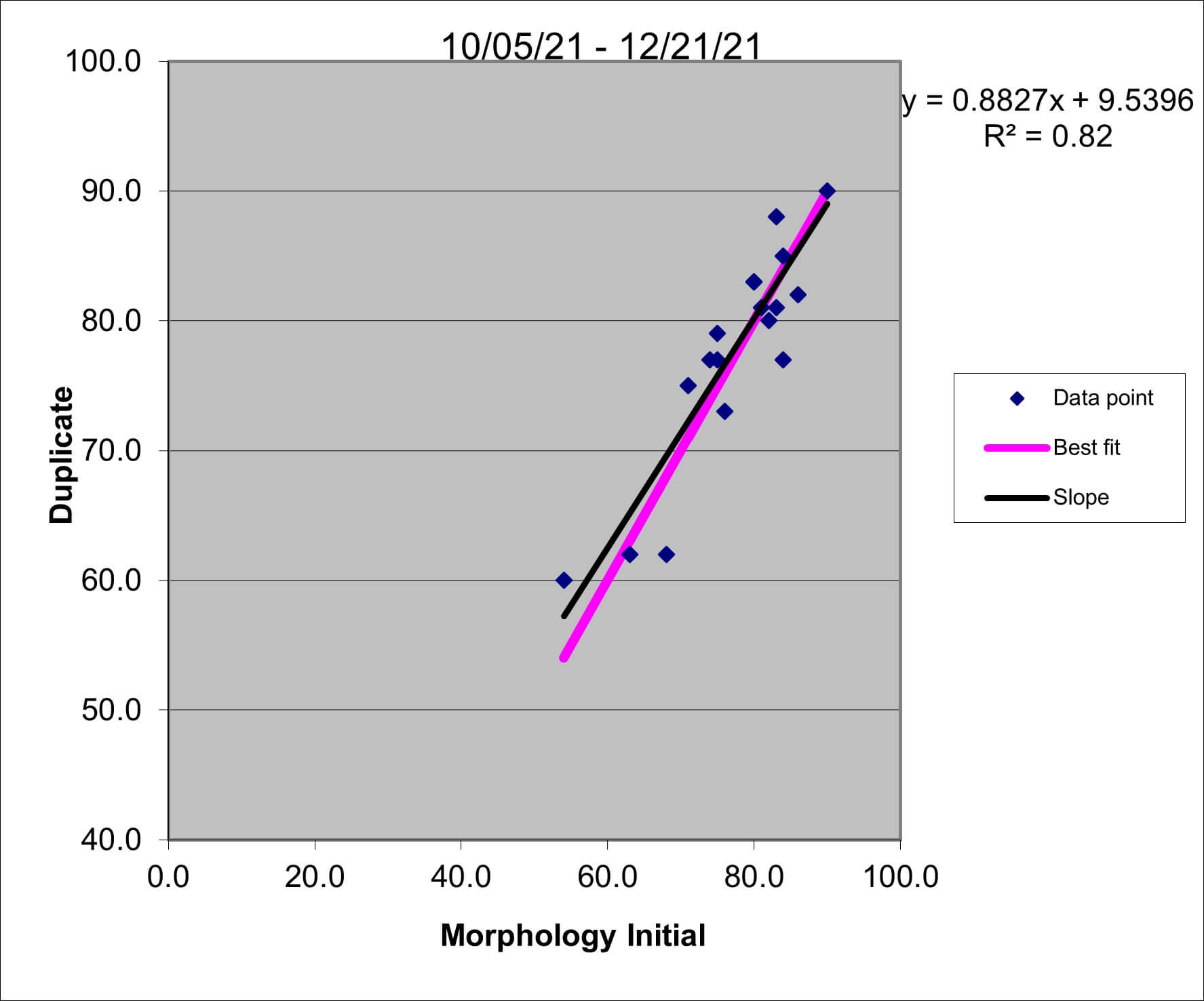 2021 q4 Morph