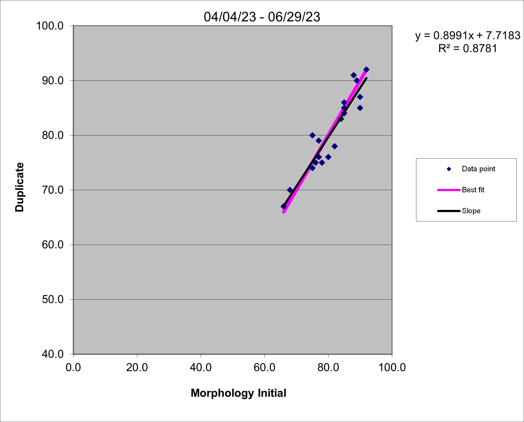 23q2 Morph