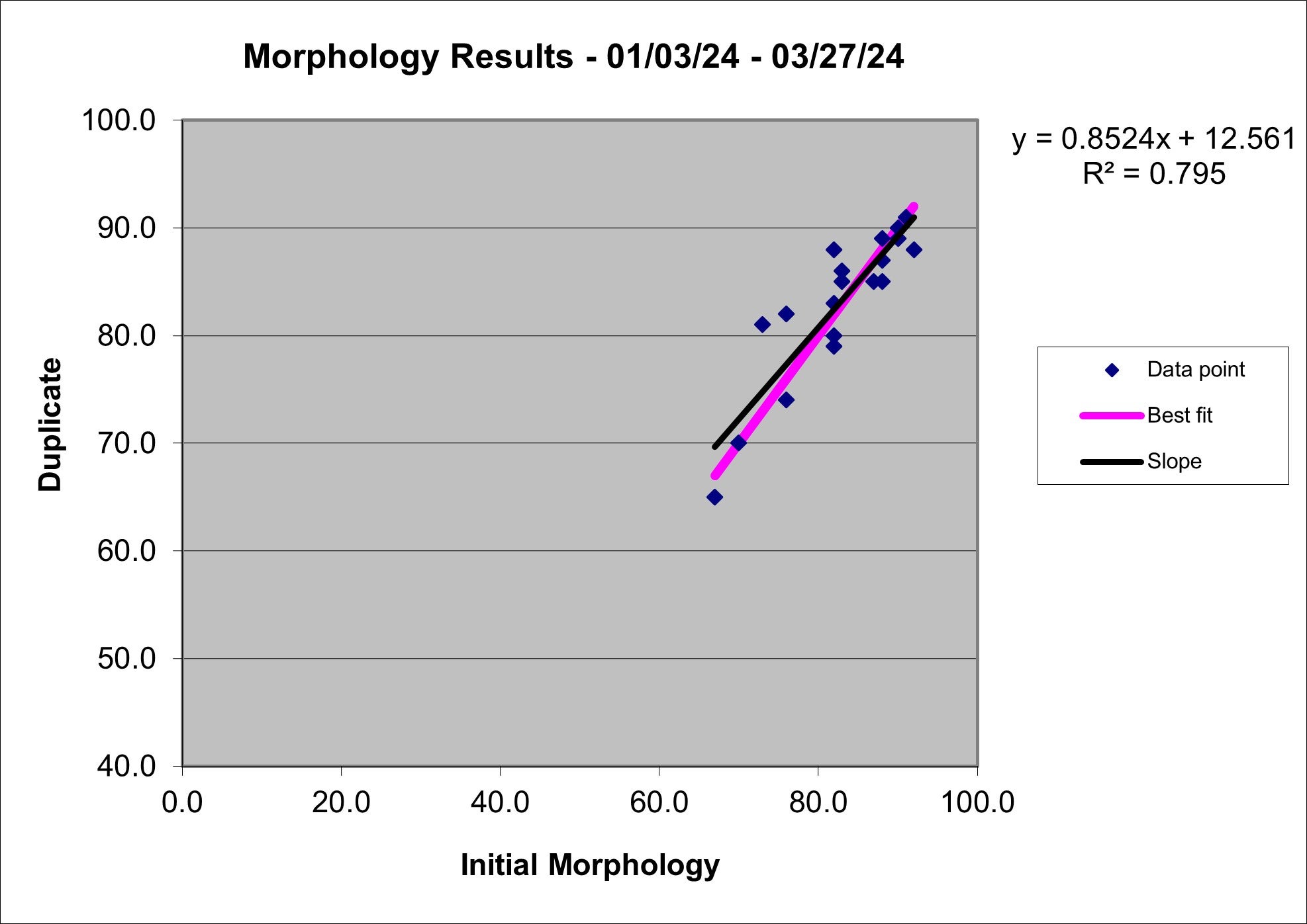 2024 q1 Morph