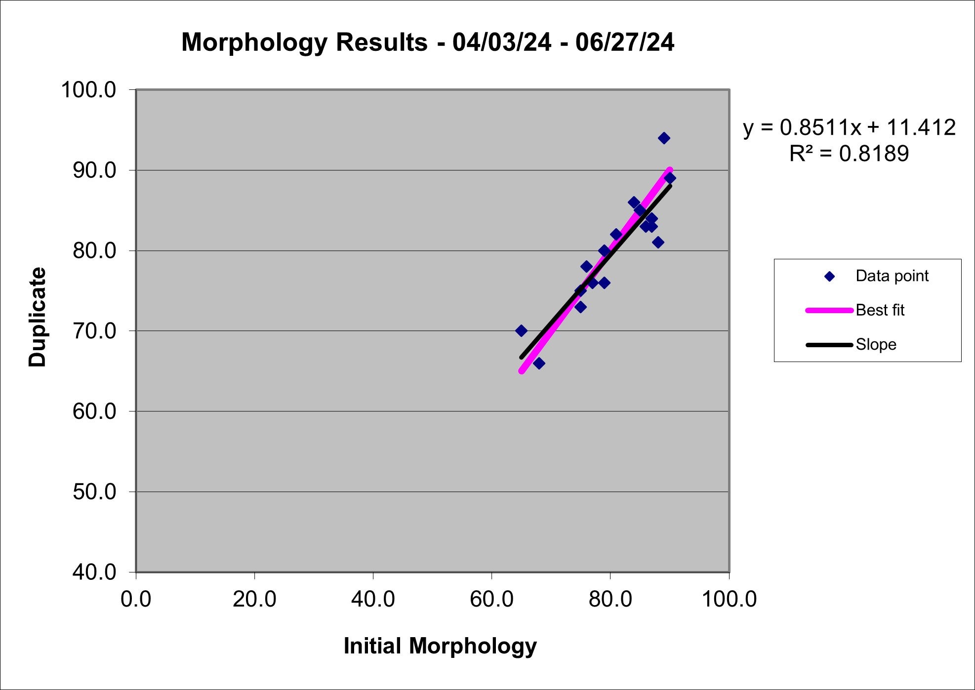 2024 q2 Morph