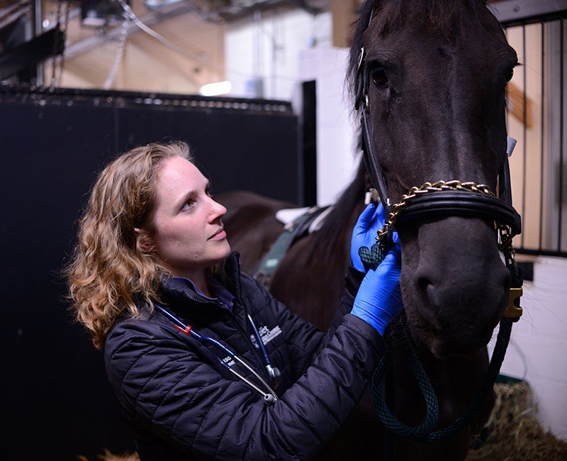 A woman standing next to a black horse.
