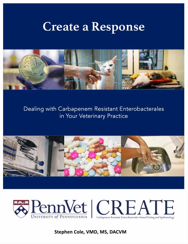 CREATE cover