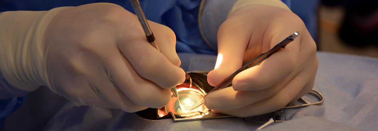 A horse eye being examined.
