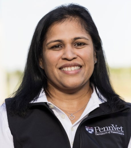 Dipti Pitta