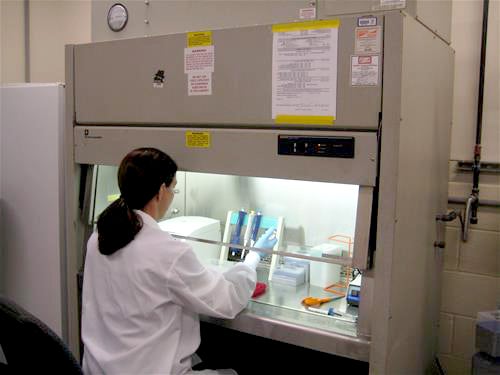 dna extraction