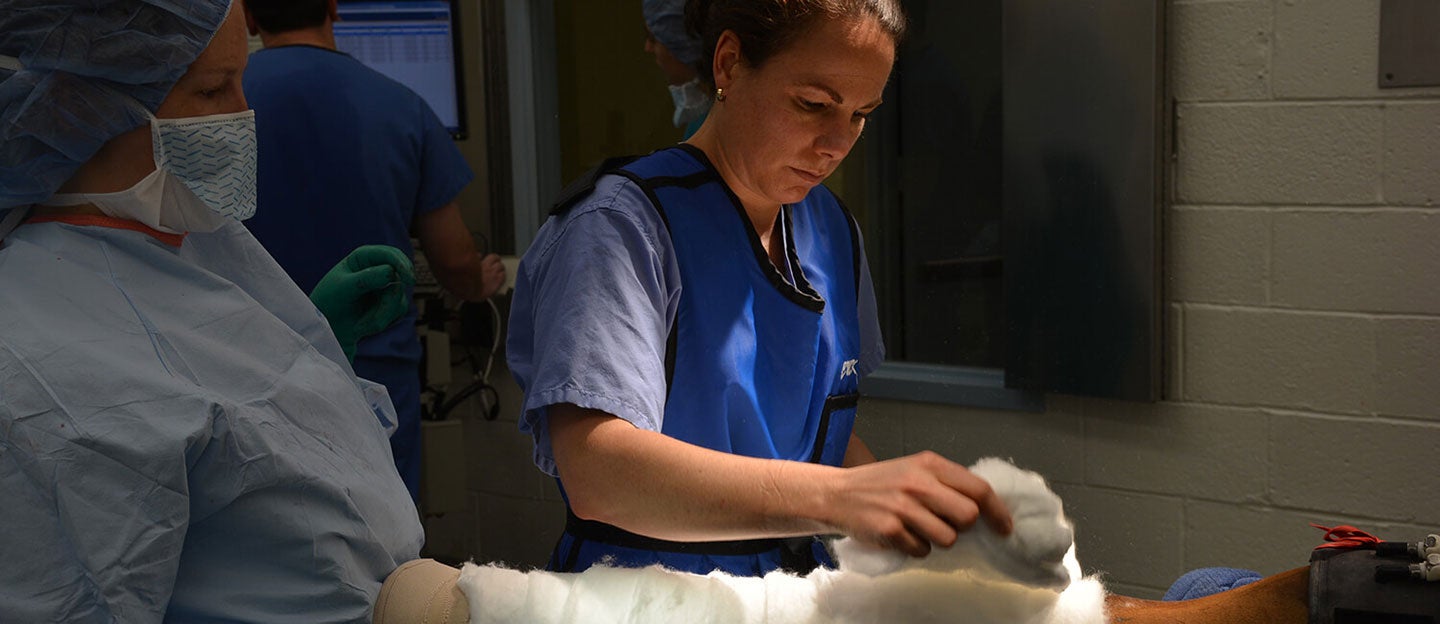 Dr Kyla Ortved With Patient