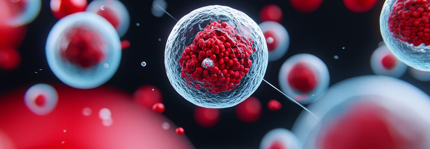 Embryonic Stem Cells